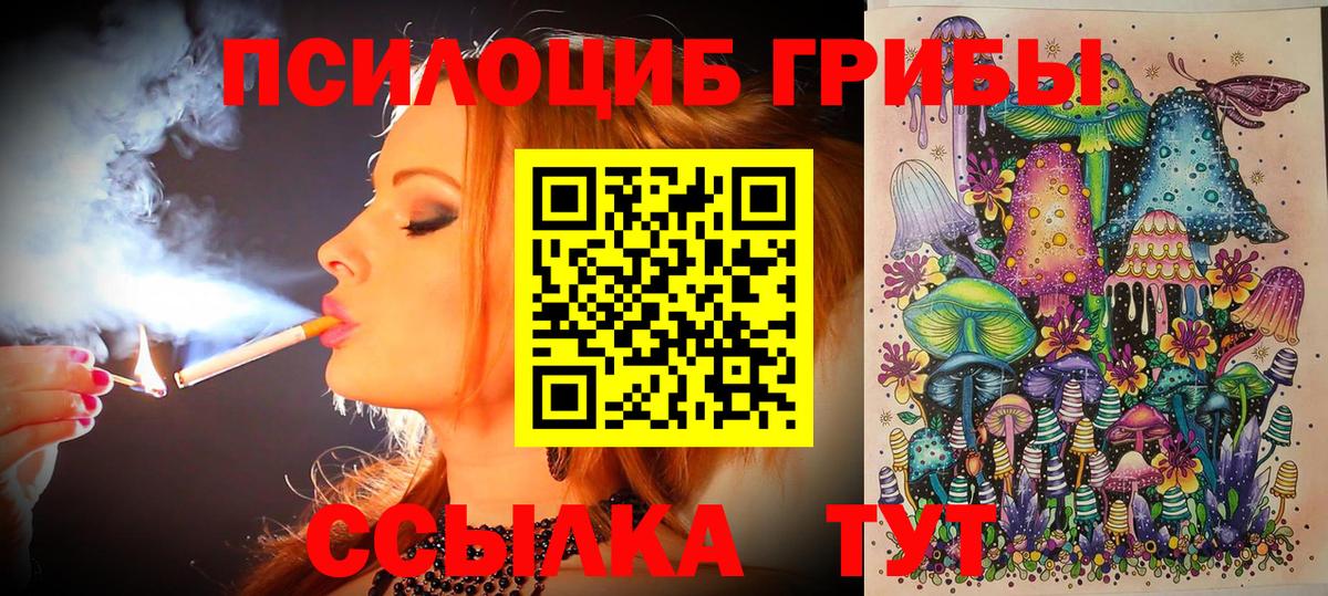 Псилоцибиновые грибы ЛСД Вятские Поляны