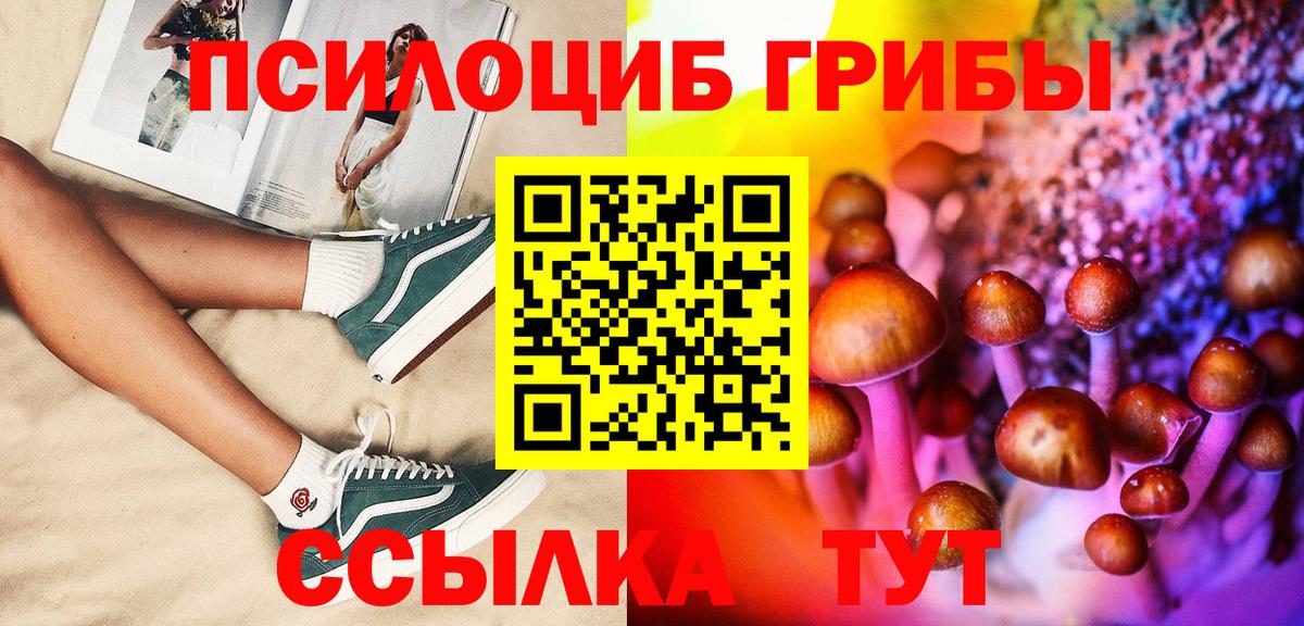 Галлюциногенные грибы мухоморы  где продают   Вятские Поляны  Вход с VPN  Псилоцибиновые грибы мицелий 